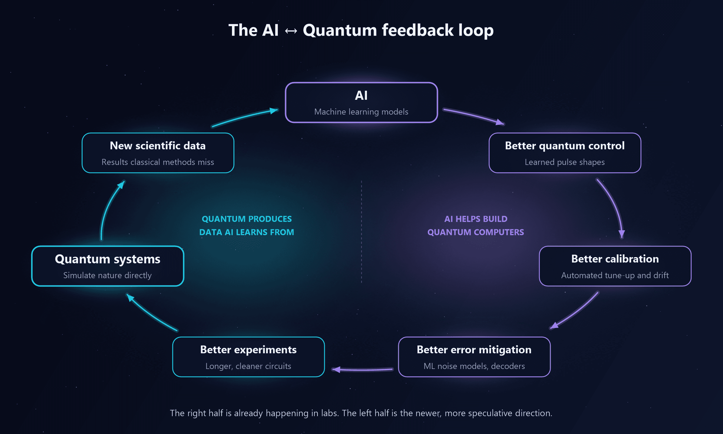 A loop of seven nodes. AI, machine learning models, leads to better quantum control with learned pulse shapes, then better calibration with automated tune-up and drift tracking, then better error mitigation with ML noise models and decoders, then better experiments with longer, cleaner circuits, then quantum systems that simulate nature directly, then new scientific data with results classical methods miss, which feeds back into AI. The right half is labelled AI helps build quantum computers and the left half quantum produces data AI learns from. A caption says the right half is already happening in labs and the left half is the newer, more speculative direction