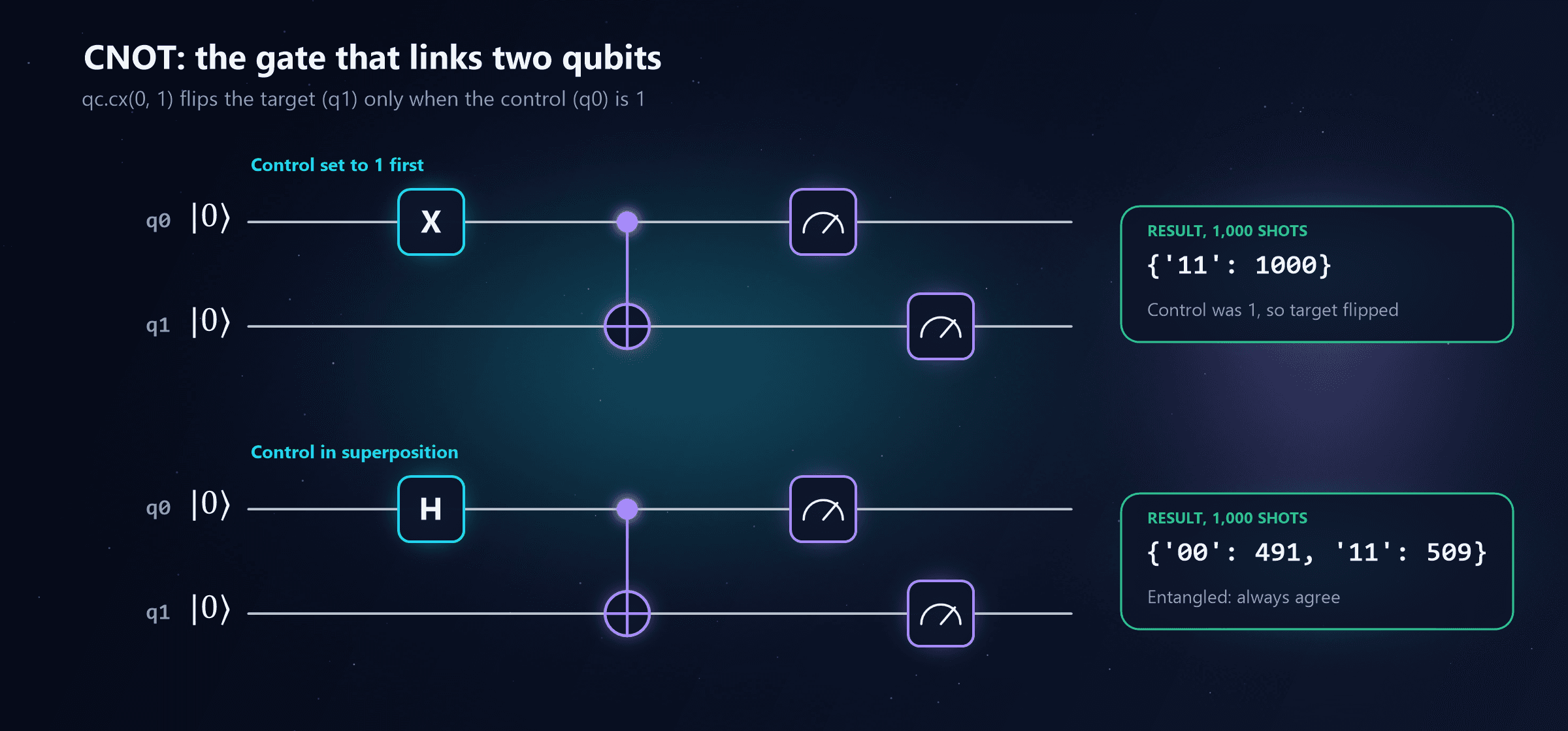 Two two-qubit circuits. First, the control q0 is set to 1 with an X gate, then a CNOT from q0 to q1, then both are measured, giving 11 every time because the control was 1 so the target flipped. Second, the control q0 is put into superposition with H, then a CNOT, then both are measured, giving 491 results of 00 and 509 of 11: entangled, the qubits always agree