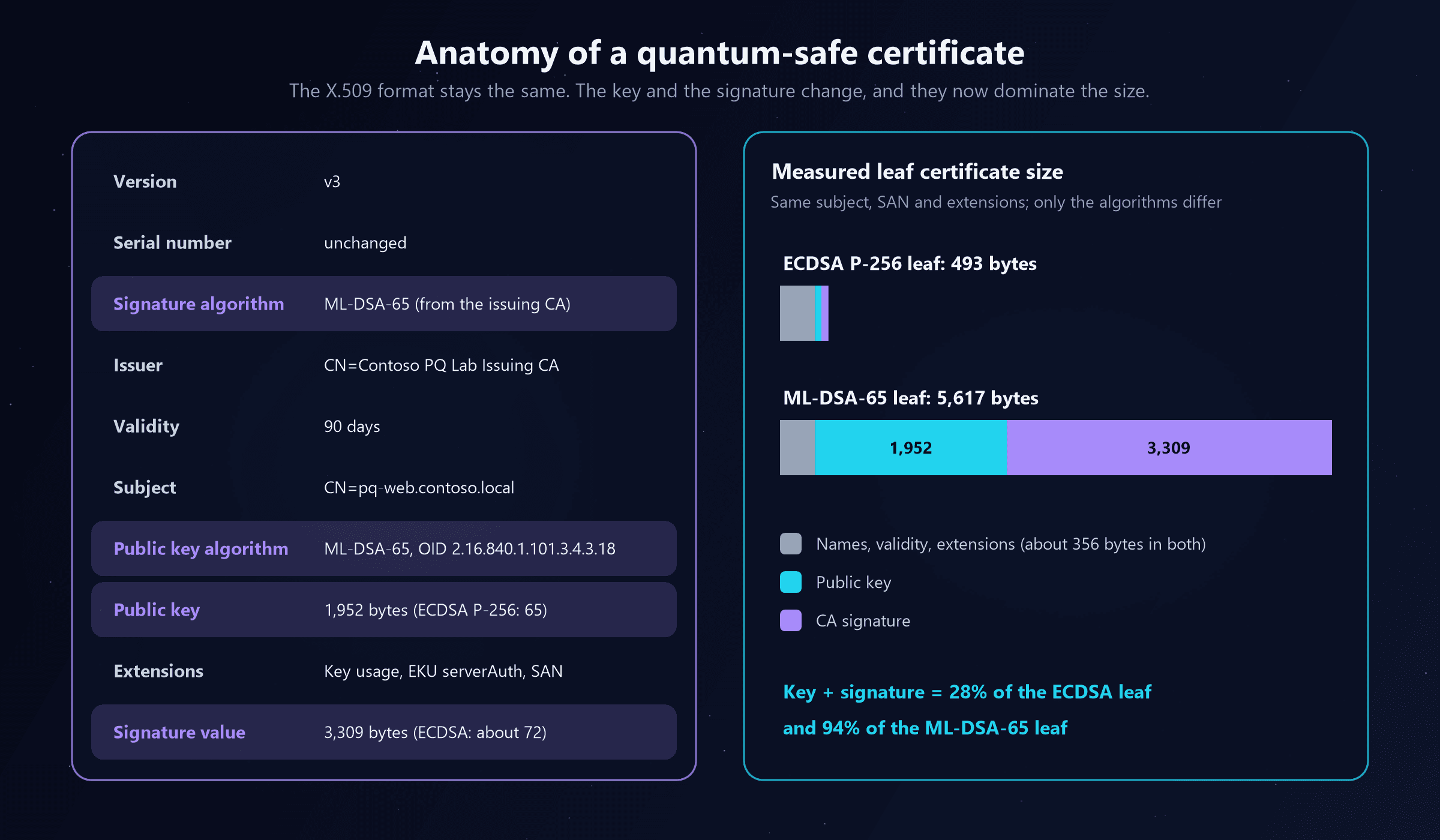Two panels. The left lists the fields of a quantum-safe certificate: version v3, serial number unchanged, signature algorithm ML-DSA-65 from the issuing CA highlighted, issuer, validity 90 days, subject, public key algorithm ML-DSA-65 with OID 2.16.840.1.101.3.4.3.18 highlighted, public key 1,952 bytes compared with 65 for ECDSA P-256 highlighted, extensions, and signature value 3,309 bytes compared with about 72 for ECDSA highlighted. The right compares measured leaf certificate sizes on a shared scale: an ECDSA P-256 leaf of 493 bytes is a short bar, and an ML-DSA-65 leaf of 5,617 bytes is a long bar made almost entirely of the 1,952-byte public key and the 3,309-byte CA signature, with about 356 bytes of names, validity and extensions in both. Key plus signature is 28 percent of the ECDSA leaf and 94 percent of the ML-DSA-65 leaf