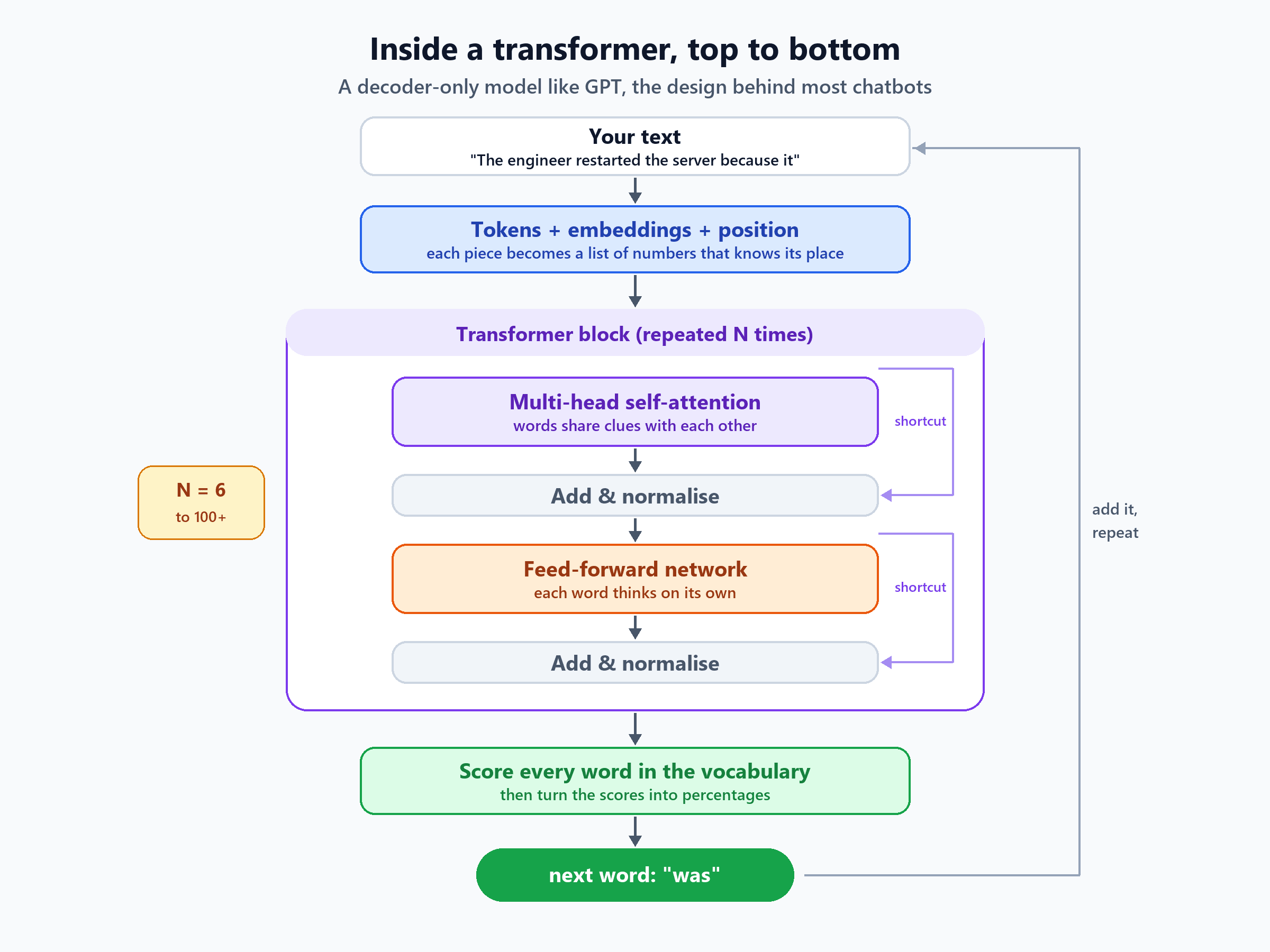 Vertical diagram of a transformer: text becomes tokens and embeddings with position, passes through a repeated block of multi-head self-attention, add and normalise, feed-forward network, add and normalise, then every word in the vocabulary is scored and the next word is chosen and fed back in